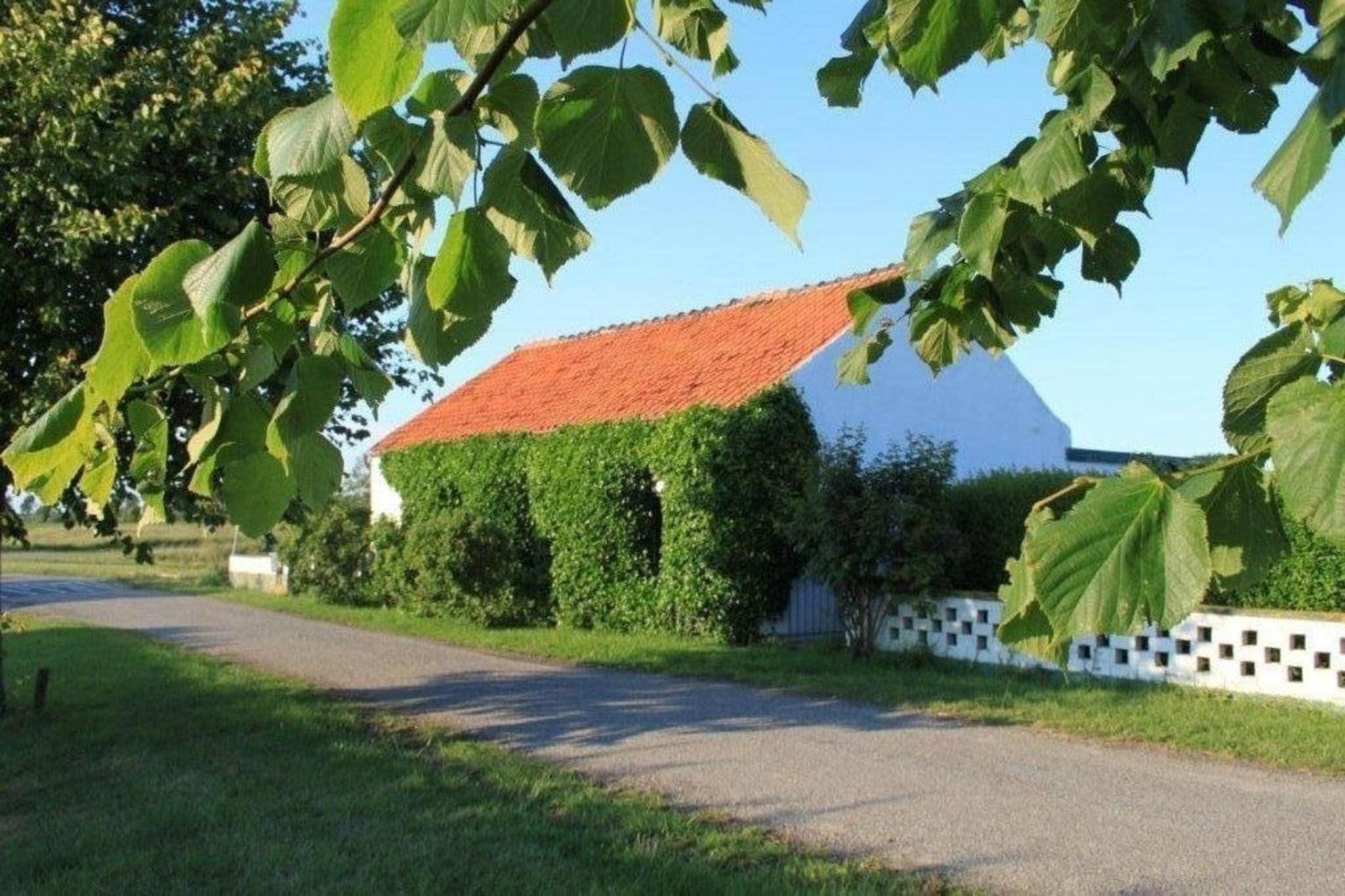 Altes Deichbauernhaus Mit Scheune, Garten Und Zwei Etagen Vakantiehuis Nieuwvliet